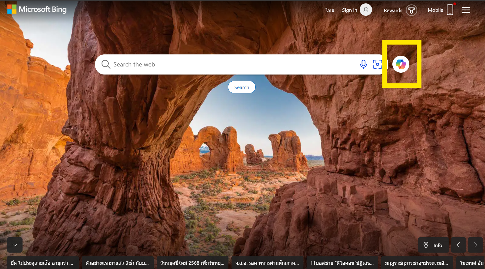 Microsoft Bing Copilot