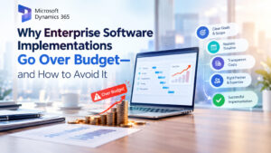 Why Enterprise Software Implementations Go Over Budget