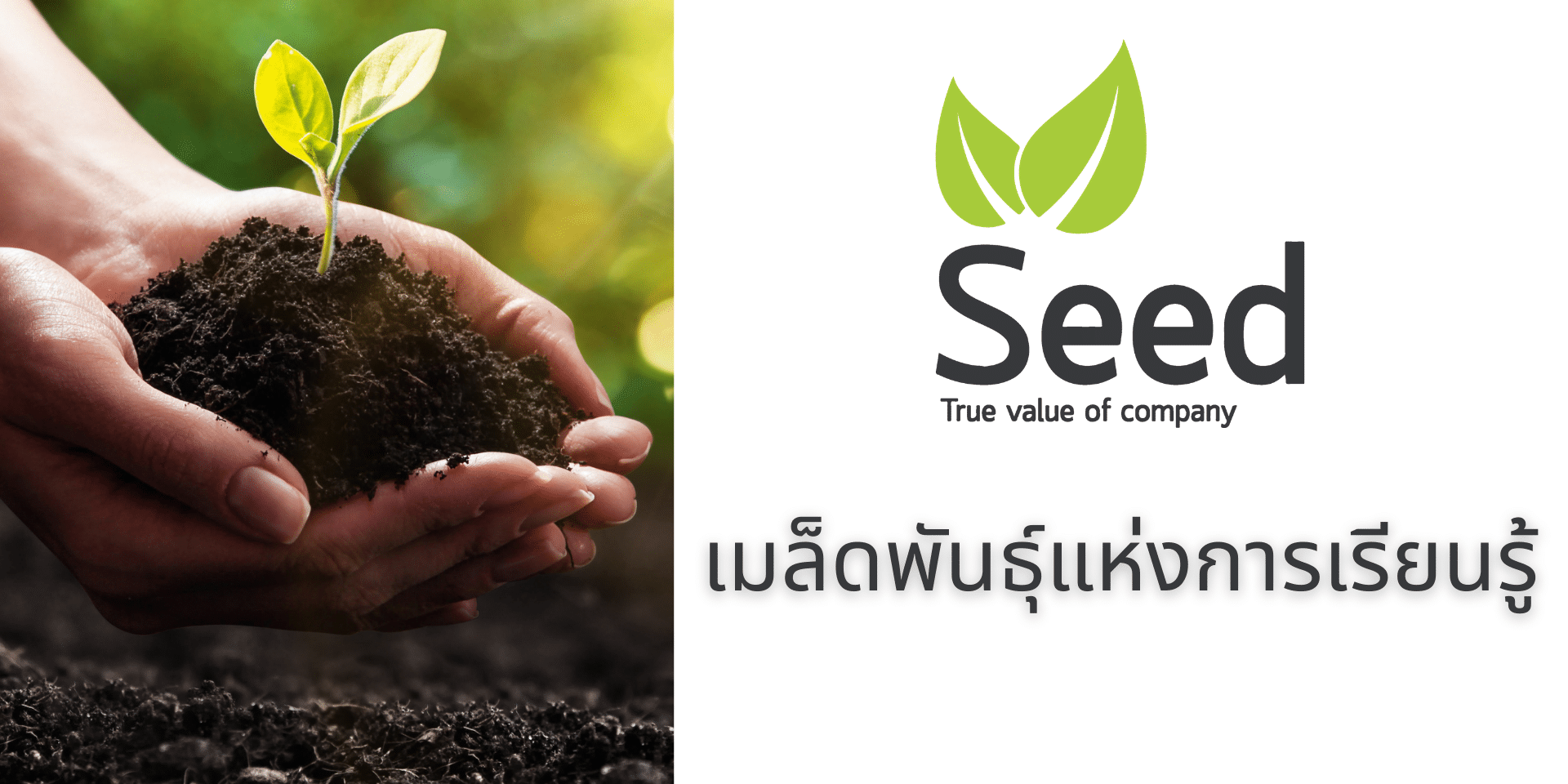 shell knowledge management