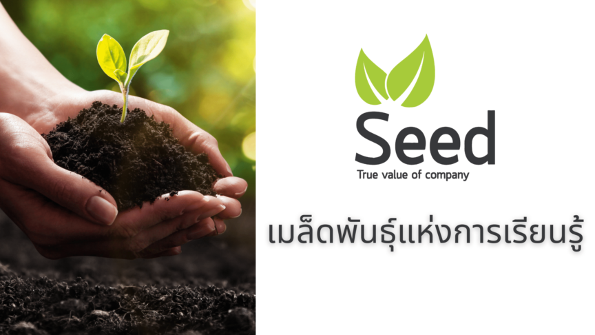 ปก Content – Seed เมล็ดพันธุ์แห่งการเรียนรู้ knowledge management