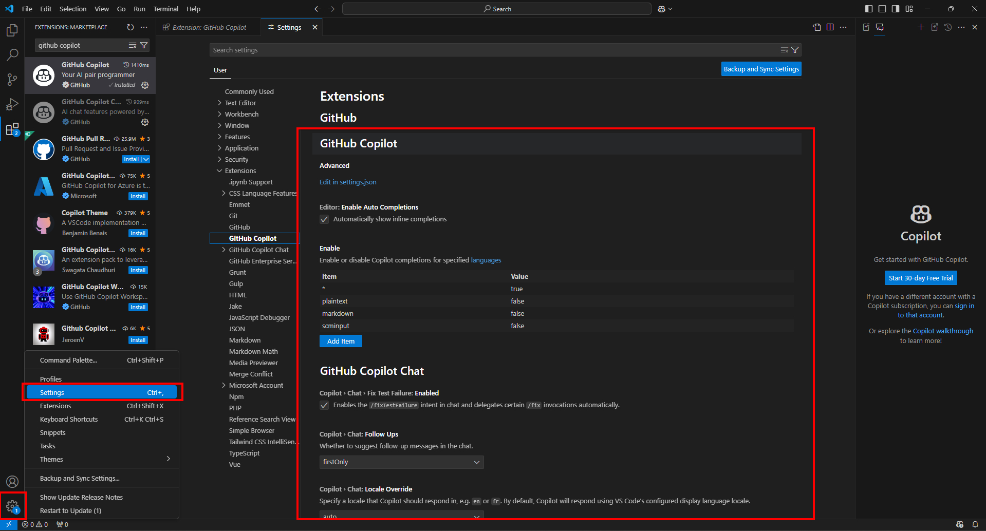 enable in vs code settings