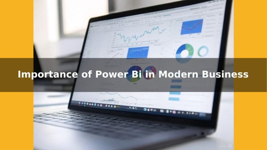 importance of power bi importance of power bi