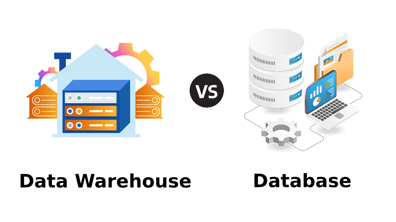data warehouse vs database